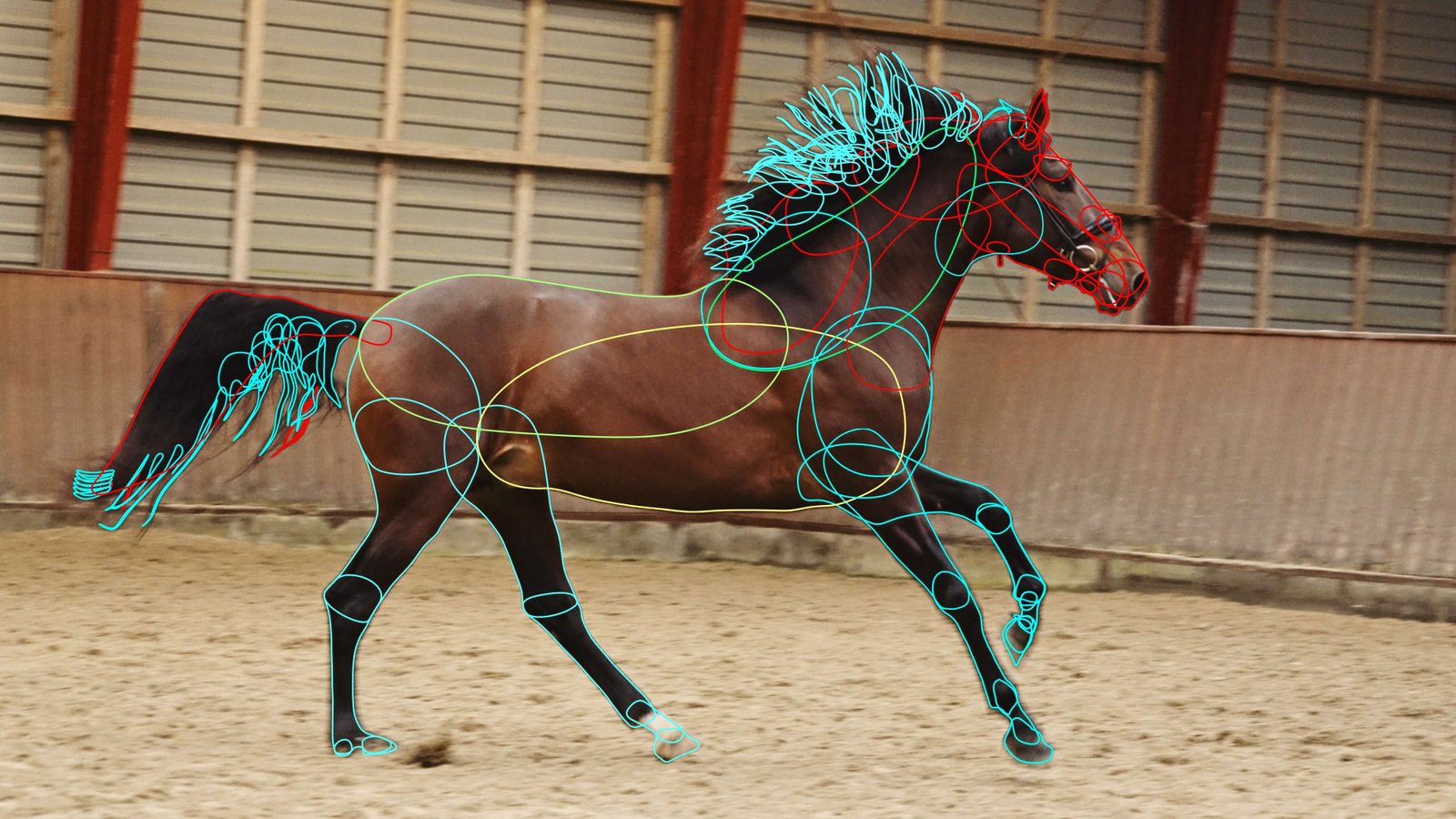 skill ventures service